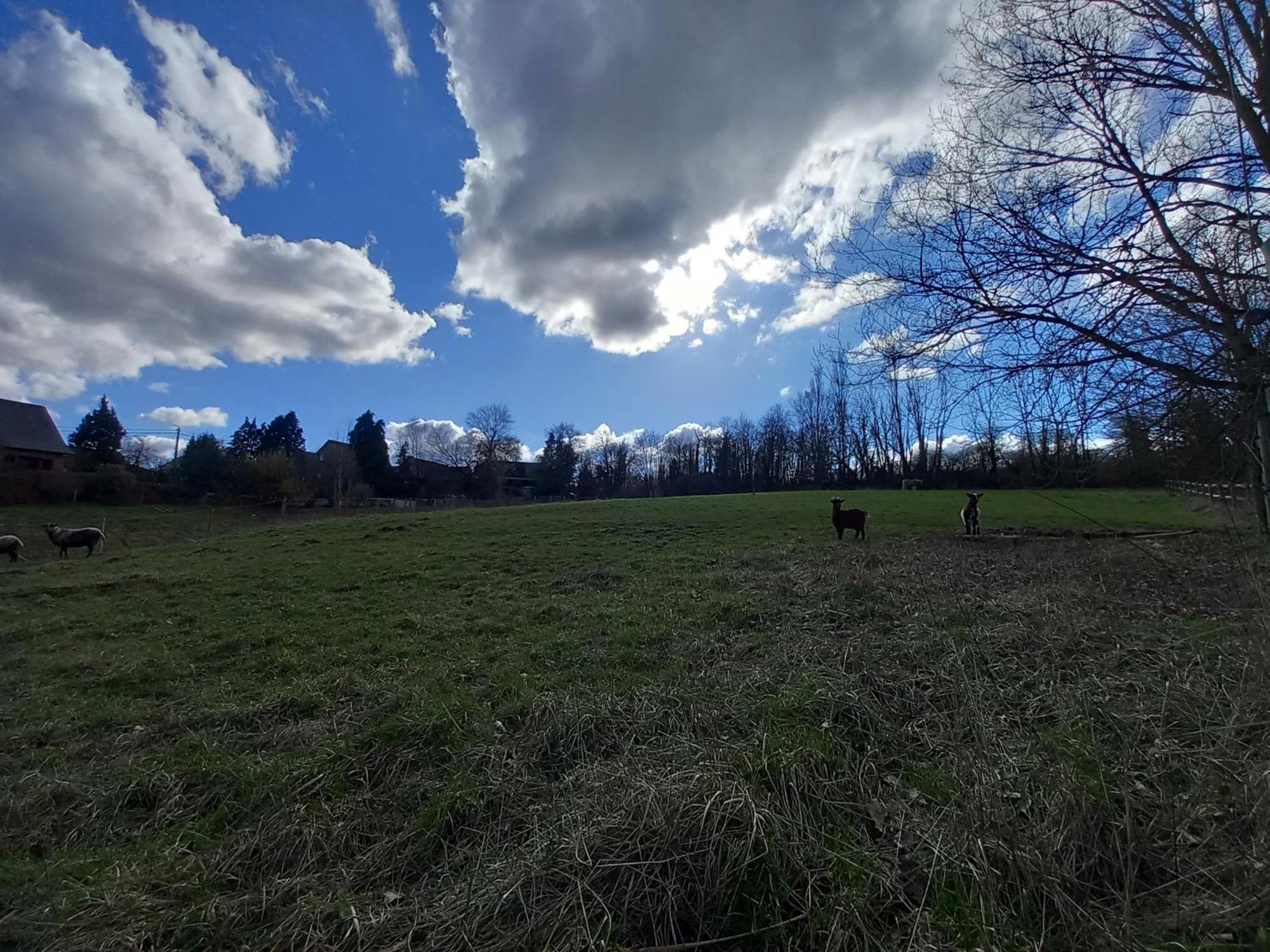 Les Hauts De Meez Dinant Exterior foto